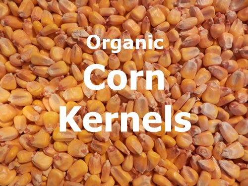 Organic Corn Kernels