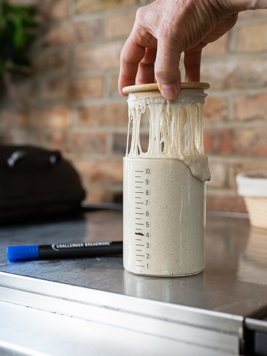 Sourdough Starter Jar Set (2 pc)