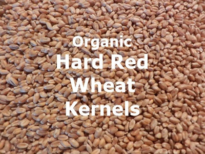 Organic Hard Red Spring Wheat Kernels