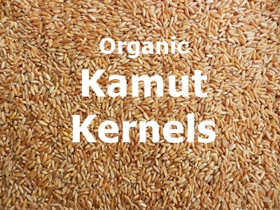 Organic Kamut® Wheat Kernels