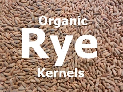 Organic Rye Kernels