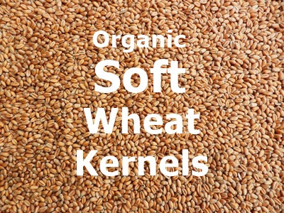 Organic Soft Wheat Kernels