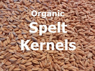 Organic Spelt Kernels